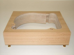 TD124 Rüster-Ulme-gestreift 02